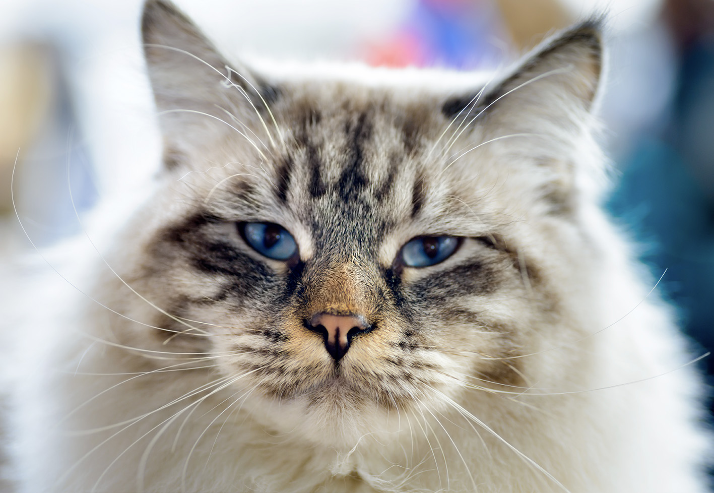 consultation vetobiot